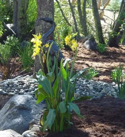 Top-rated residential landscaping near you across Cameron Park, CA - La Colina Landscaping