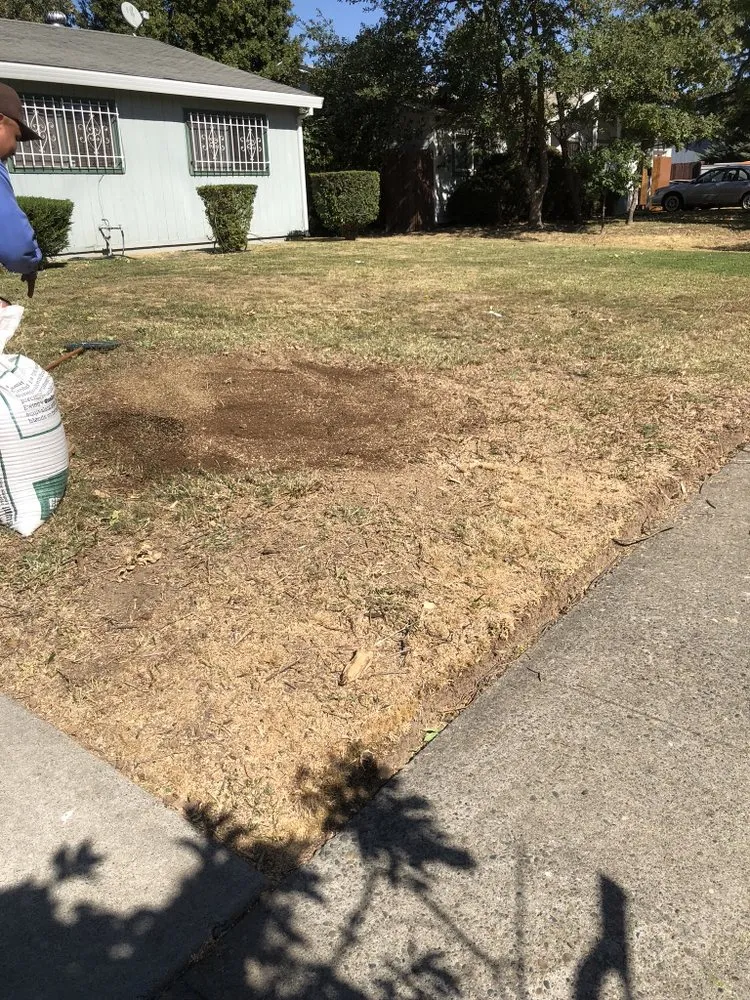 Reliable garden landscaping in SACRAMENTO, CA by La Colonia Concrete Landscaping