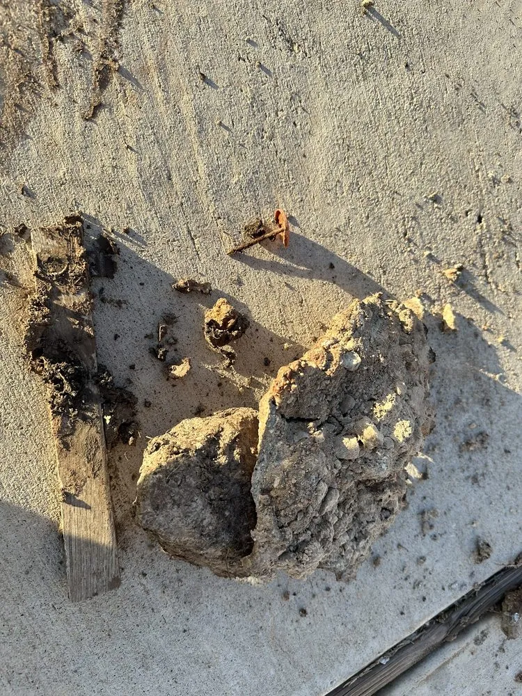 Reliable lawn care service in Hutto, TX - La Copa Ventures