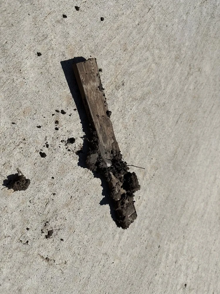 Top-rated landscape design in Hutto, TX by La Copa Ventures