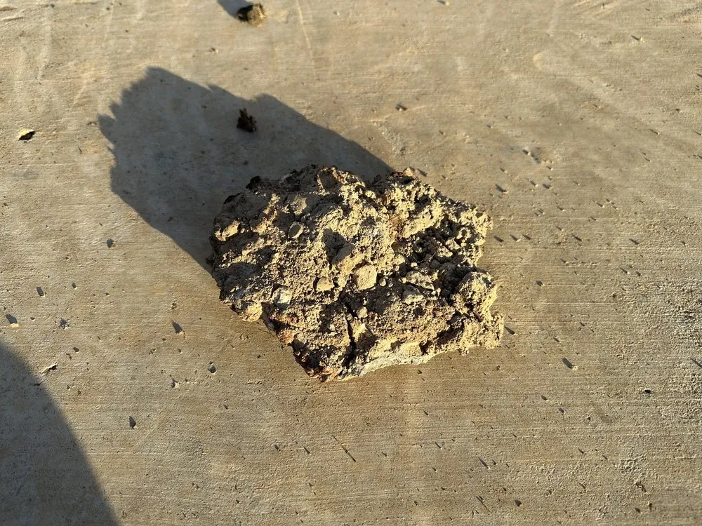 Local yard cleanup service experts serving Hutto, TX - La Copa Ventures