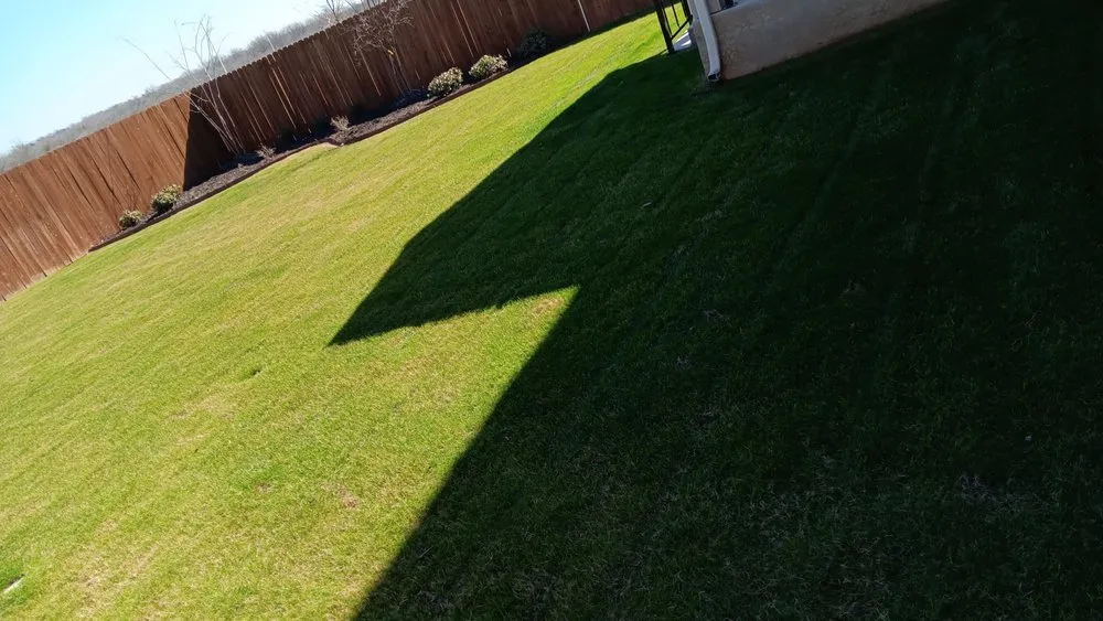 Affordable landscape design in Hutto, TX - La Copa Ventures