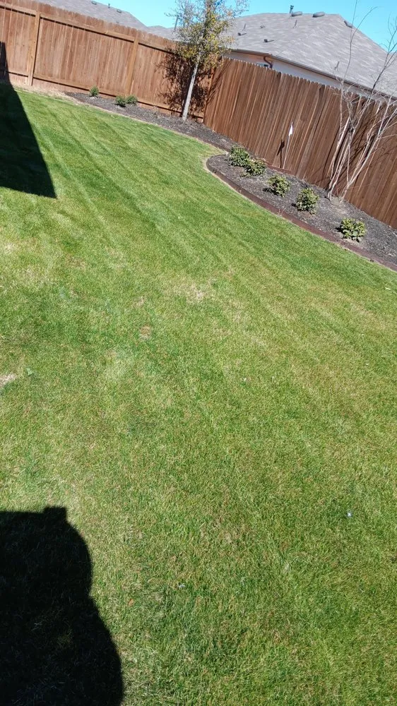 Professional landscape installation for year-round maintenance in Hutto, TX by La Copa Ventures