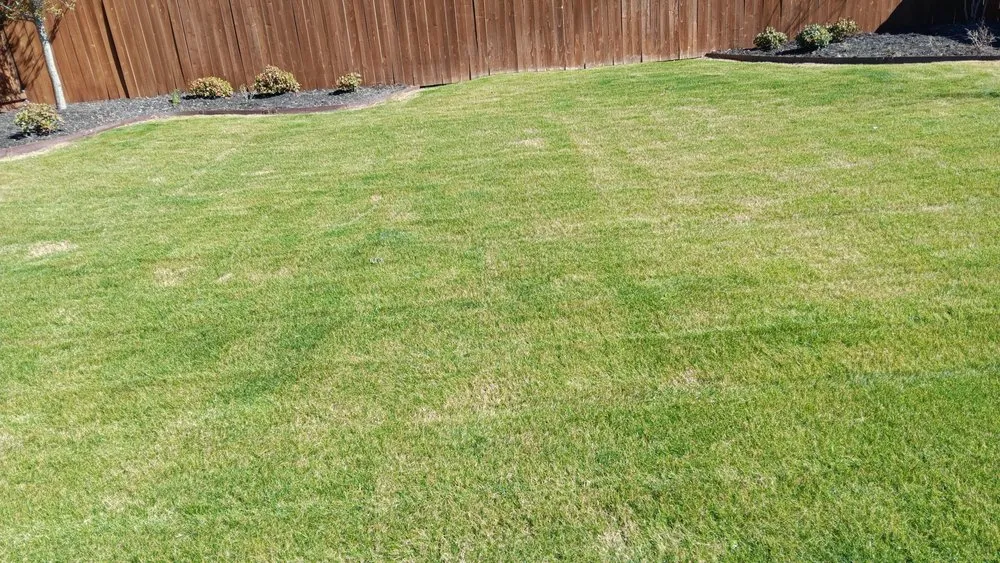 Professional yard maintenance experts serving Hutto, TX - La Copa Ventures