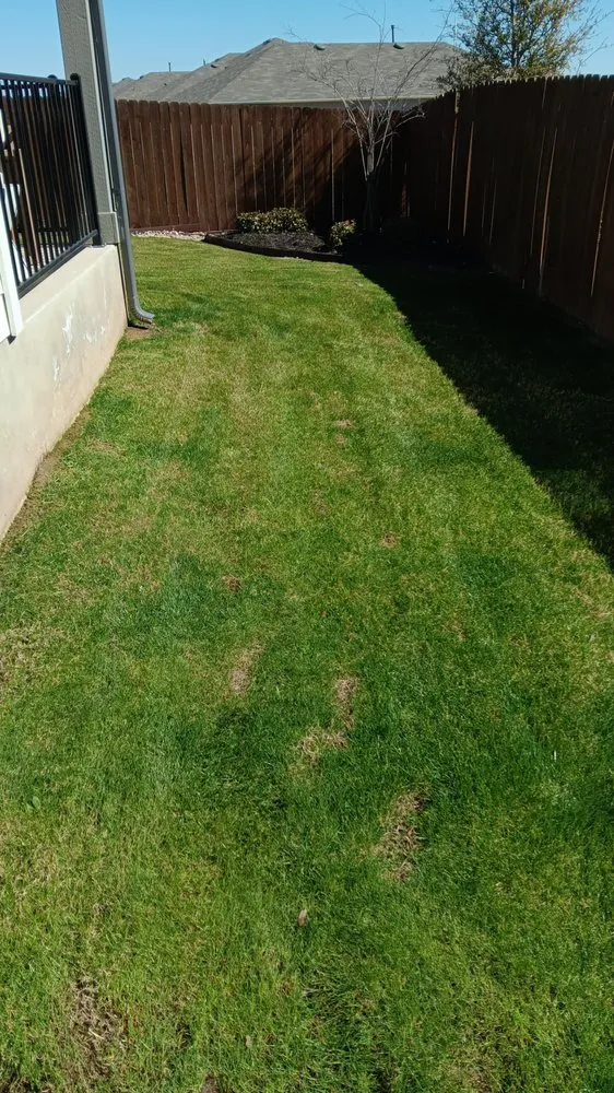 Custom garden landscaping in Hutto, TX - La Copa Ventures