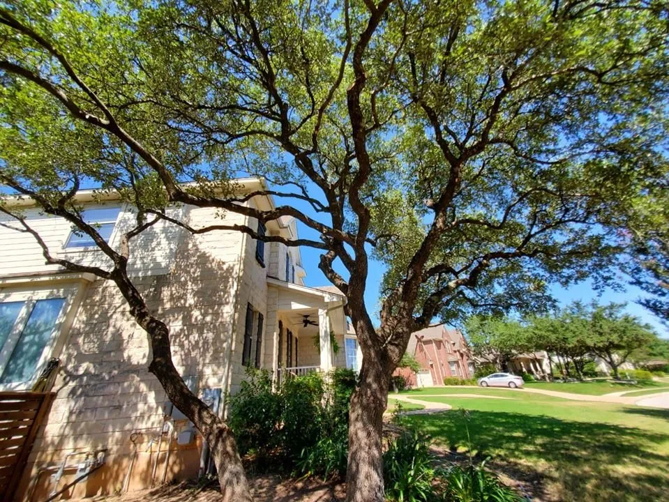 Professional yard cleanup service for beautiful yards in Austin, TX by La Costa Irrigation and Landscaping