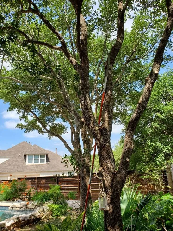 Local landscaping services in Austin, TX by La Costa Irrigation and Landscaping