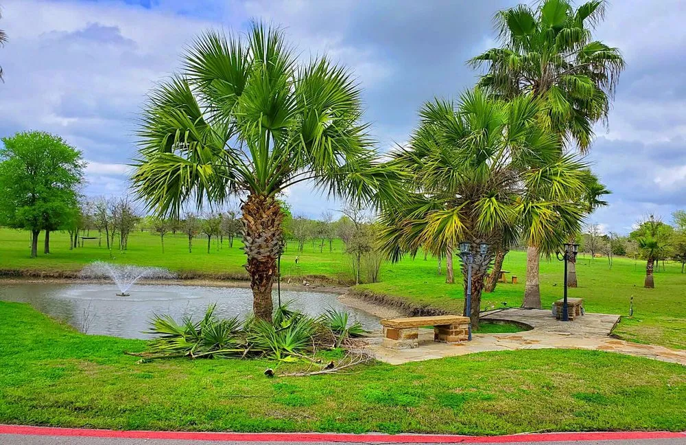 Expert outdoor landscaping experts serving Austin, TX - La Costa Irrigation and Landscaping
