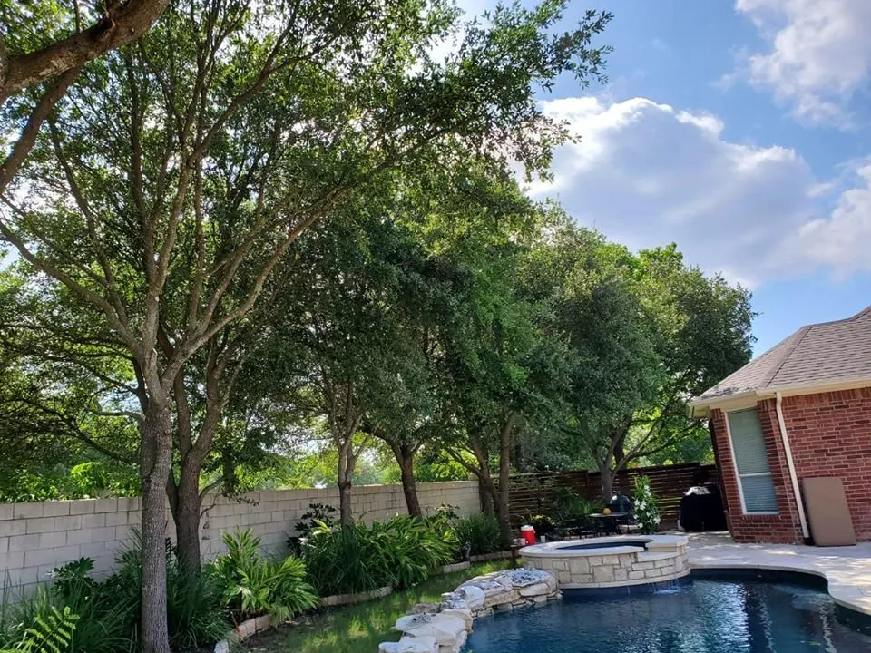 Trusted outdoor landscaping near you in Austin, TX by La Costa Irrigation and Landscaping