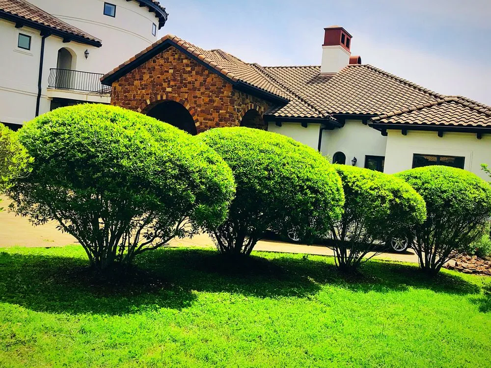 Custom outdoor landscaping in Austin, TX by La Costa Irrigation and Landscaping