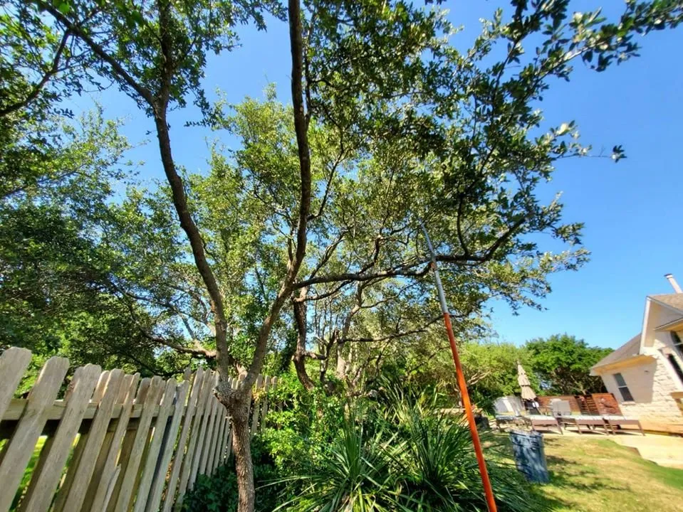 Reliable lawn care service near you across Austin, TX - La Costa Irrigation and Landscaping