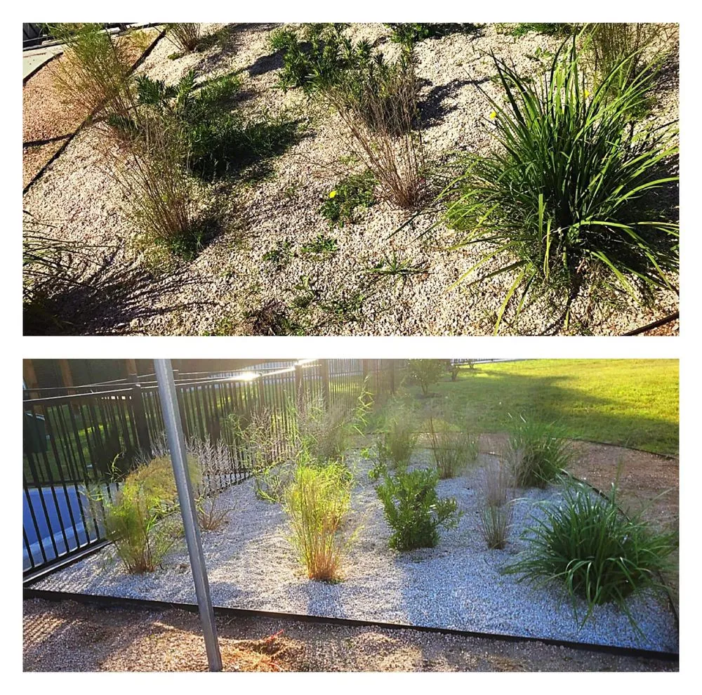 Local residential landscaping in Austin, TX by La Costa Irrigation and Landscaping