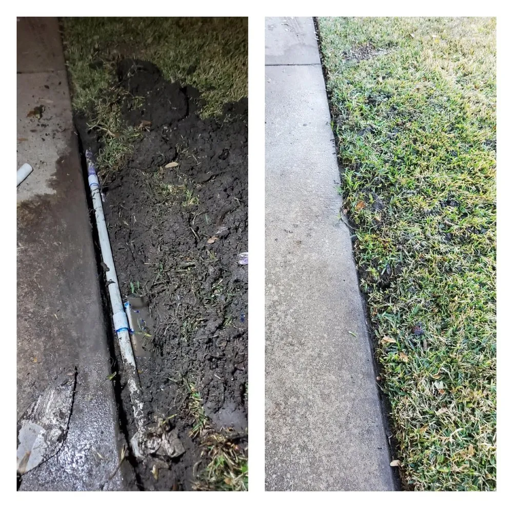 Expert yard cleanup service in Austin, TX by La Costa Irrigation and Landscaping