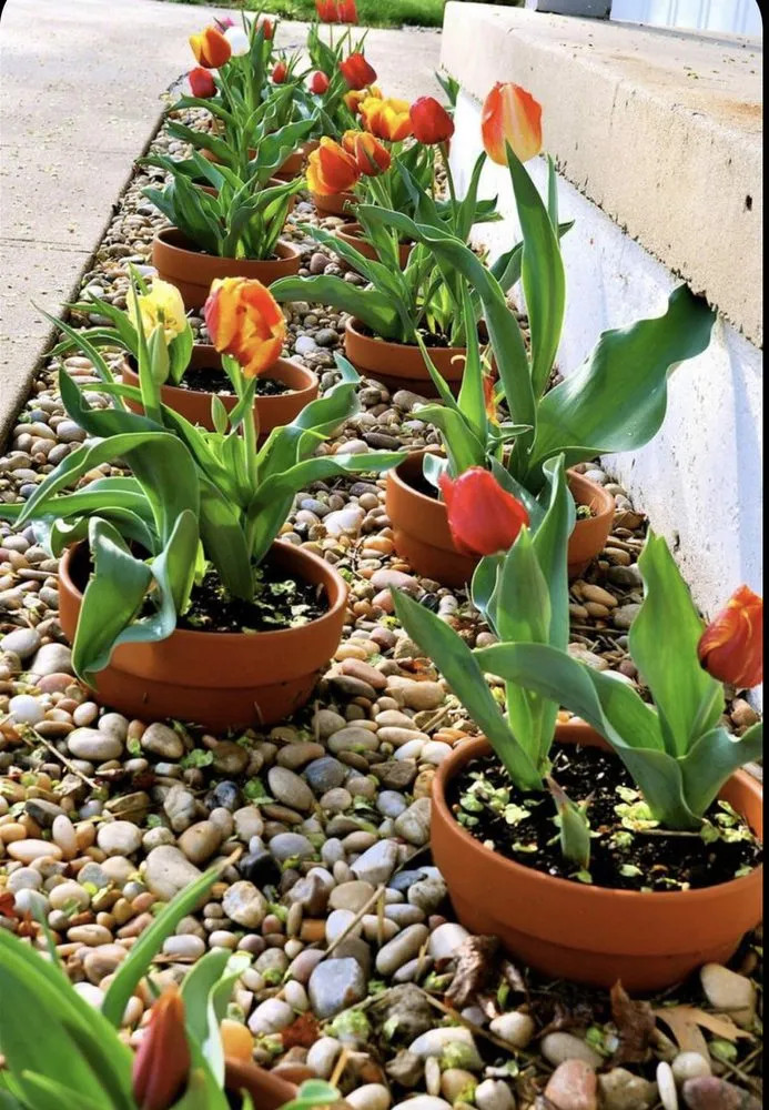 Reliable yard cleanup service for outdoor upgrades across Palm Bay, FL - La Costa Landscaping