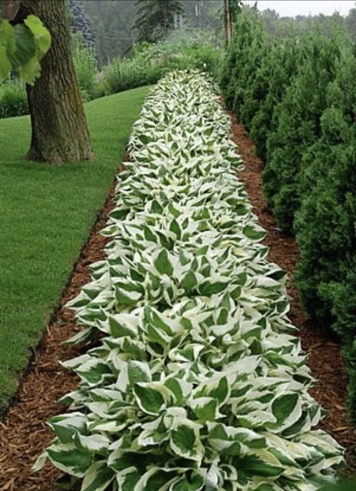 Expert landscape design for outdoor upgrades in Palm Bay, FL by La Costa Landscaping