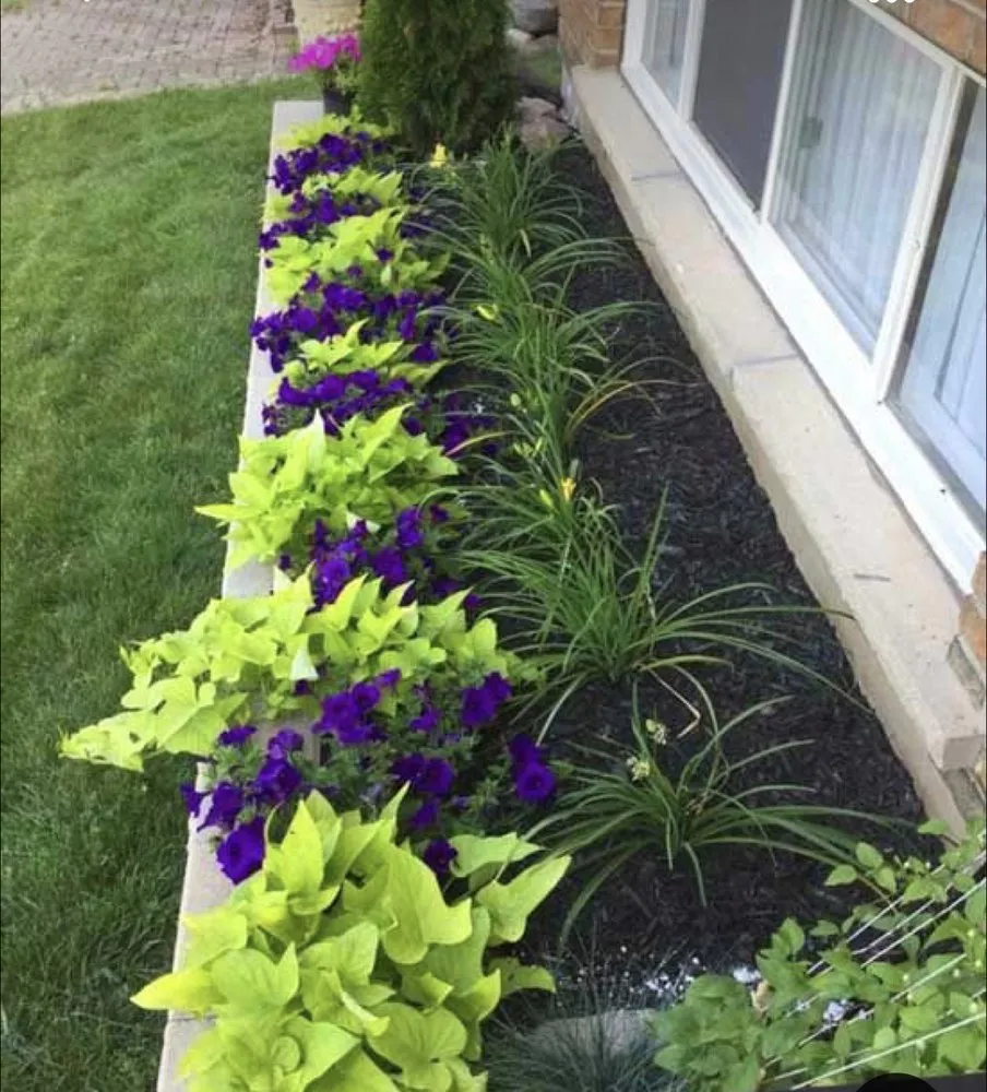Top-rated garden landscaping in Palm Bay, FL - La Costa Landscaping