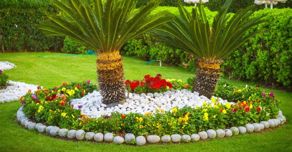 Professional garden landscaping near you across Palm Bay, FL - La Costa Landscaping