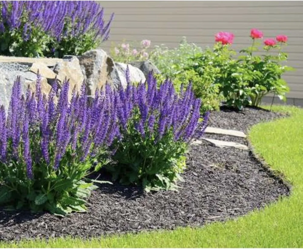 Affordable lawn care service for homes across Palm Bay, FL - La Costa Landscaping