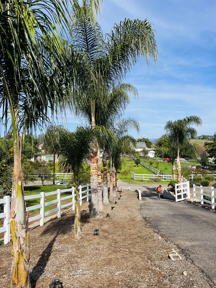 Reliable lawn mowing service in Escondido, CA by La Costa Tree Service & Maintenance