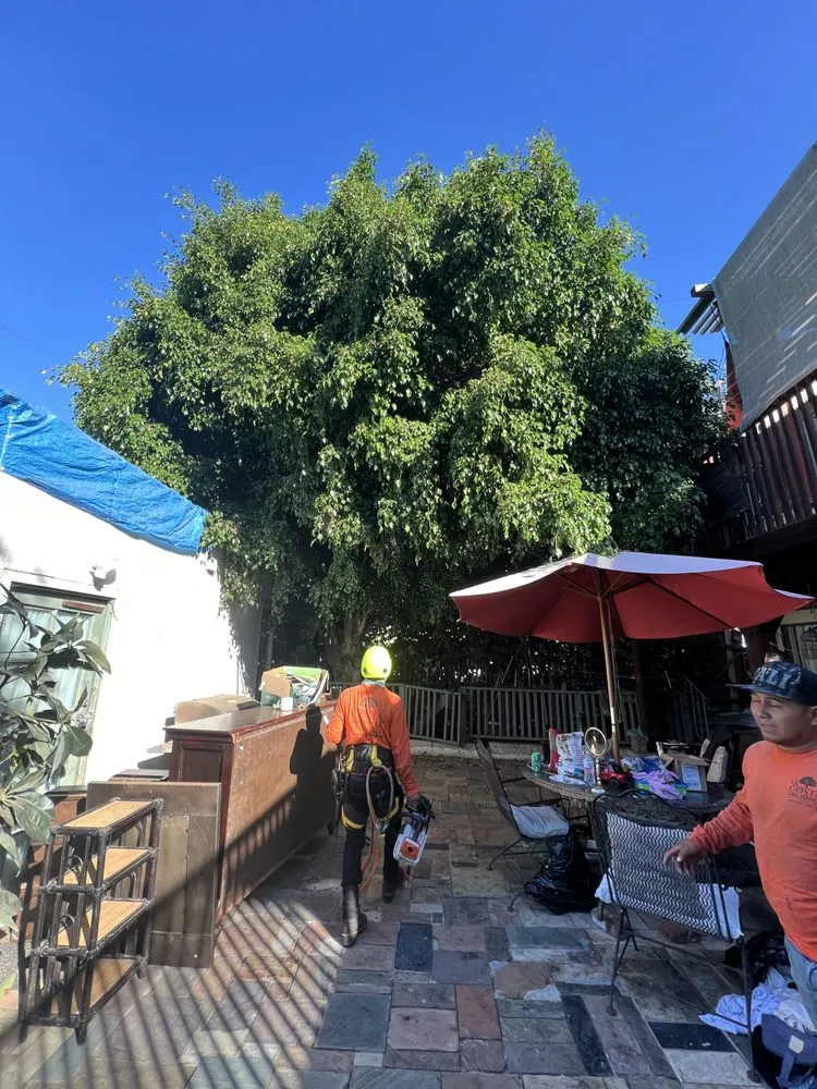Local residential landscaping near you across Escondido, CA - La Costa Tree Service & Maintenance