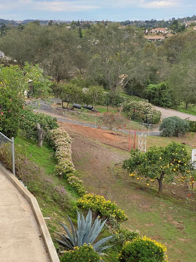 Local garden landscaping with custom design in Escondido, CA by La Costa Tree Service & Maintenance