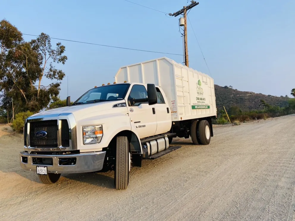 Professional yard maintenance near you across Escondido, CA - La Costa Tree Service & Maintenance
