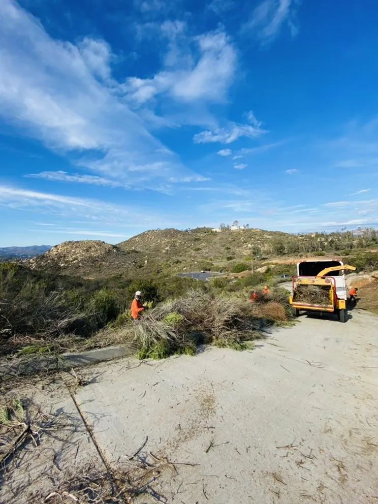 Expert outdoor landscaping in Escondido, CA by La Costa Tree Service & Maintenance