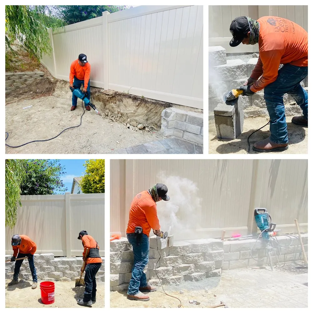 Custom yard cleanup service in Escondido, CA by La Costa Tree Service & Maintenance