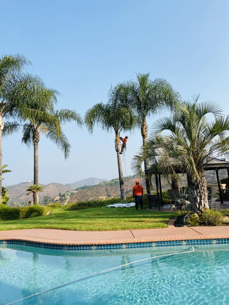 Expert residential landscaping near you across Escondido, CA - La Costa Tree Service & Maintenance