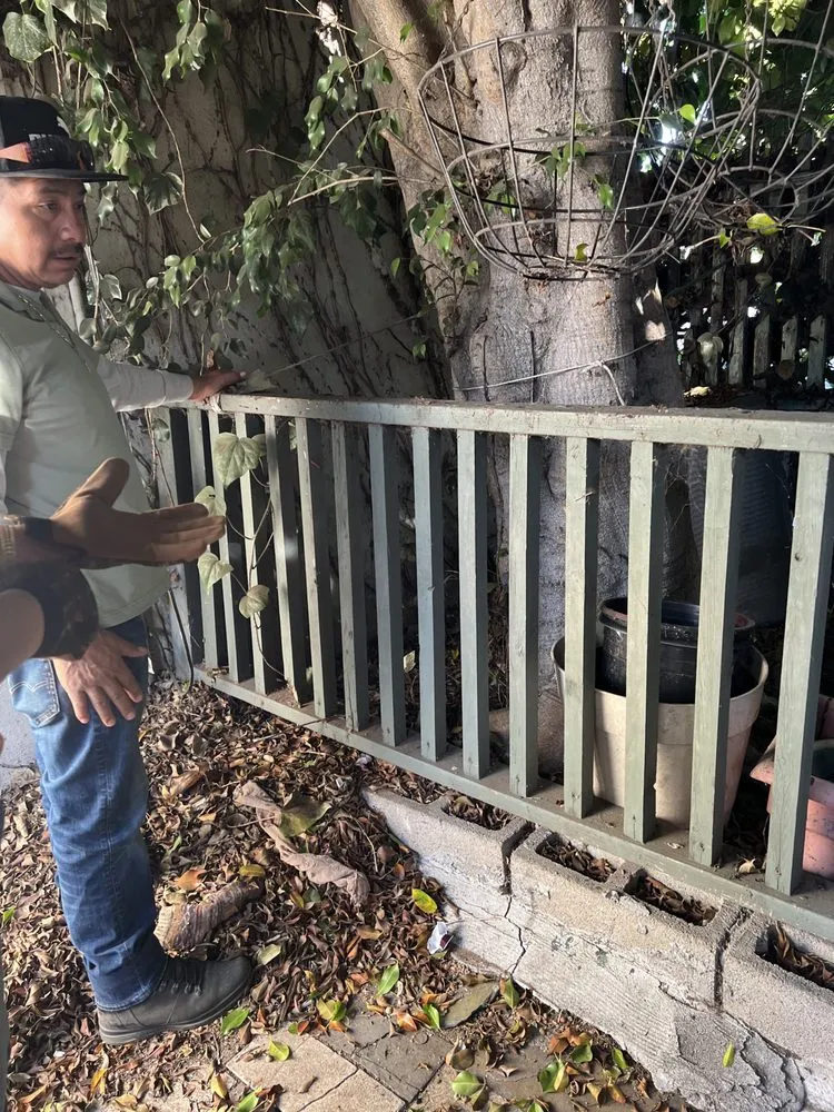 Local landscape design experts serving Escondido, CA - La Costa Tree Service & Maintenance