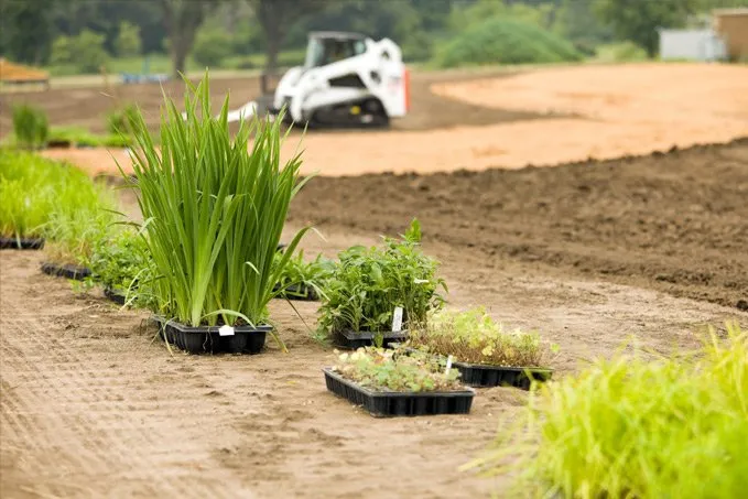 Expert yard cleanup service in La Crosse, WI by La Crosse Landscaping