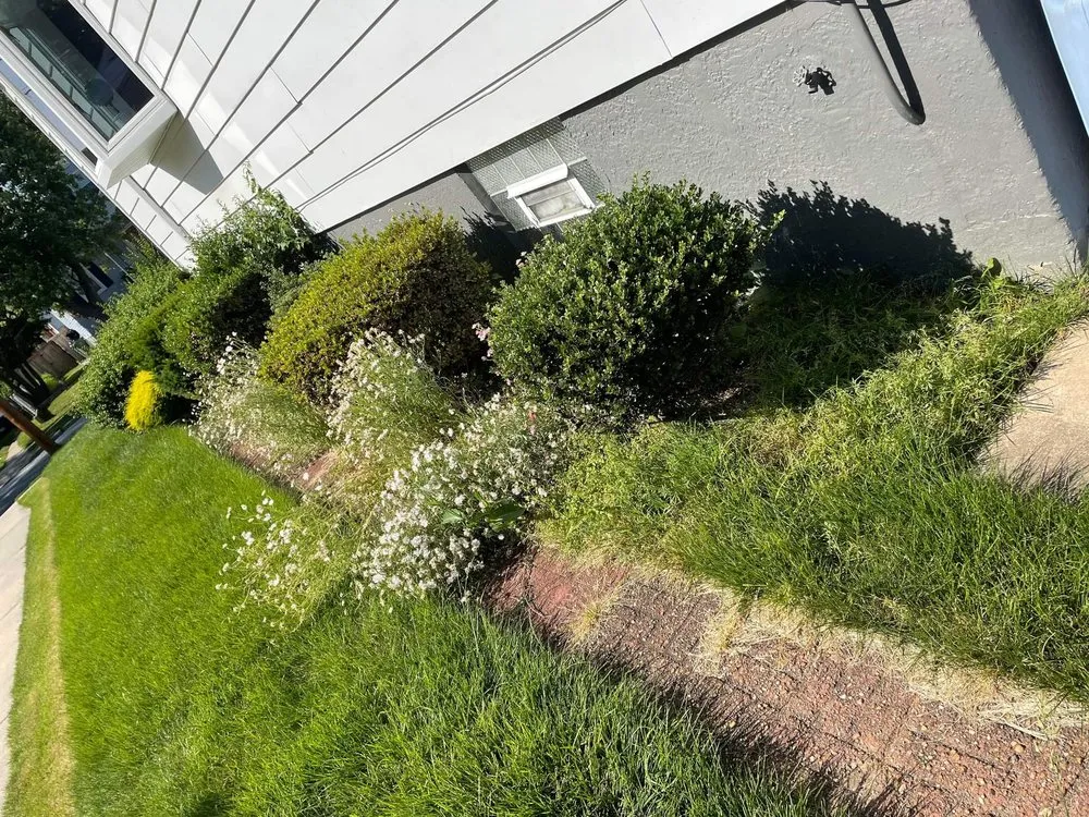 Expert landscape design near you across Baltimore, MD - L&A Custom Landscaping & Lawn Care