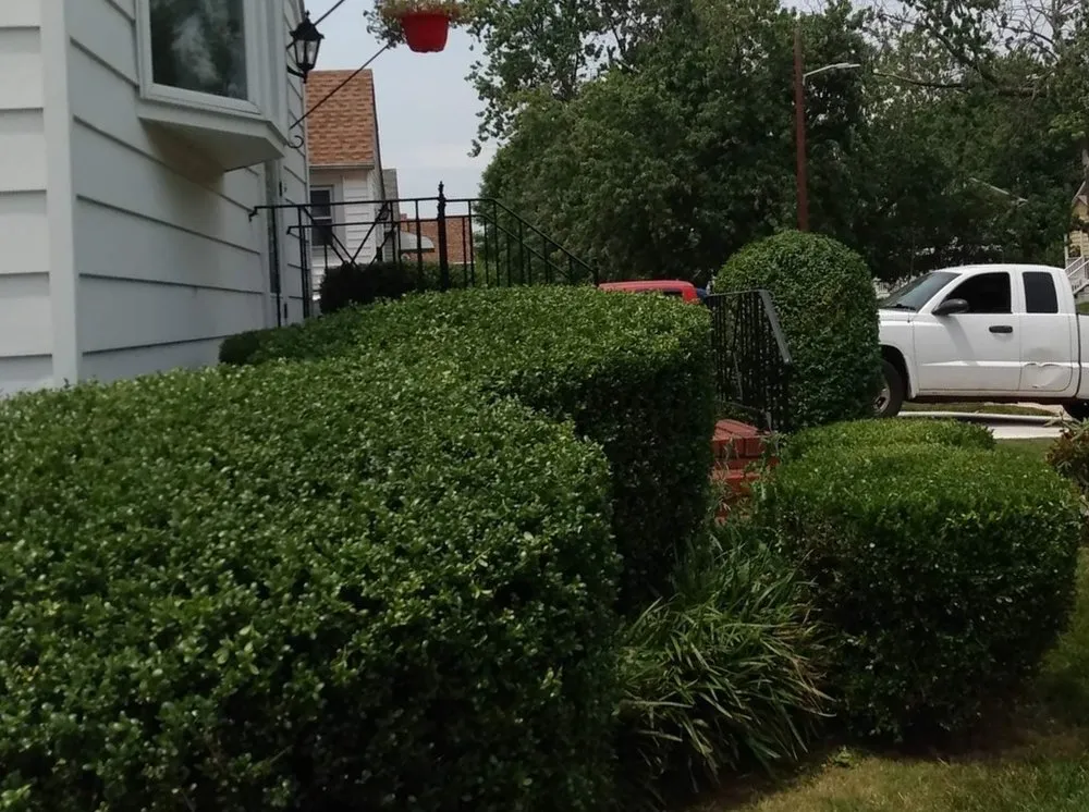 Local lawn care service in Baltimore, MD - L&A Custom Landscaping & Lawn Care