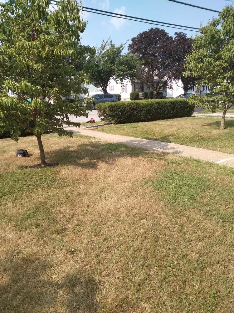 Professional lawn mowing service for residential properties across Baltimore, MD - L&A Custom Landscaping & Lawn Care