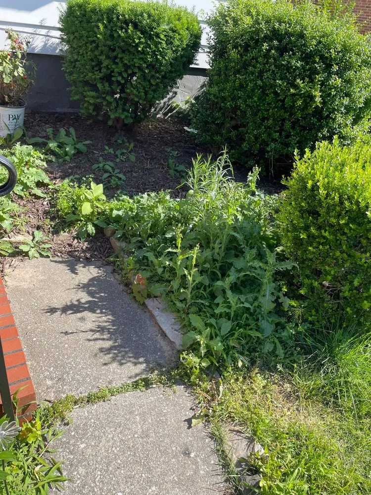 Trusted landscape installation for homes across Baltimore, MD - L&A Custom Landscaping & Lawn Care