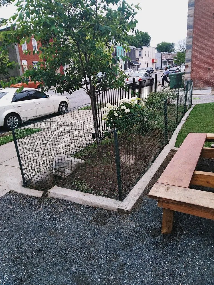 Expert yard maintenance in Baltimore, MD by L&A Custom Landscaping & Lawn Care