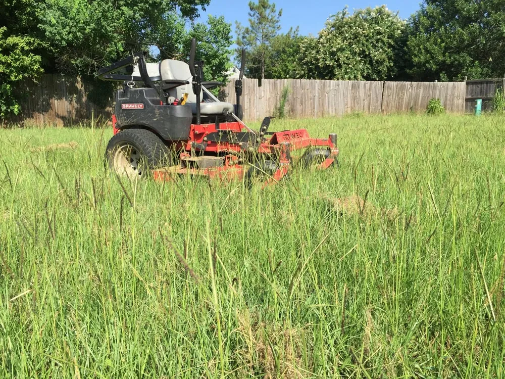 Top-rated yard cleanup service experts serving Bossier City, LA - LA Custom Lawn