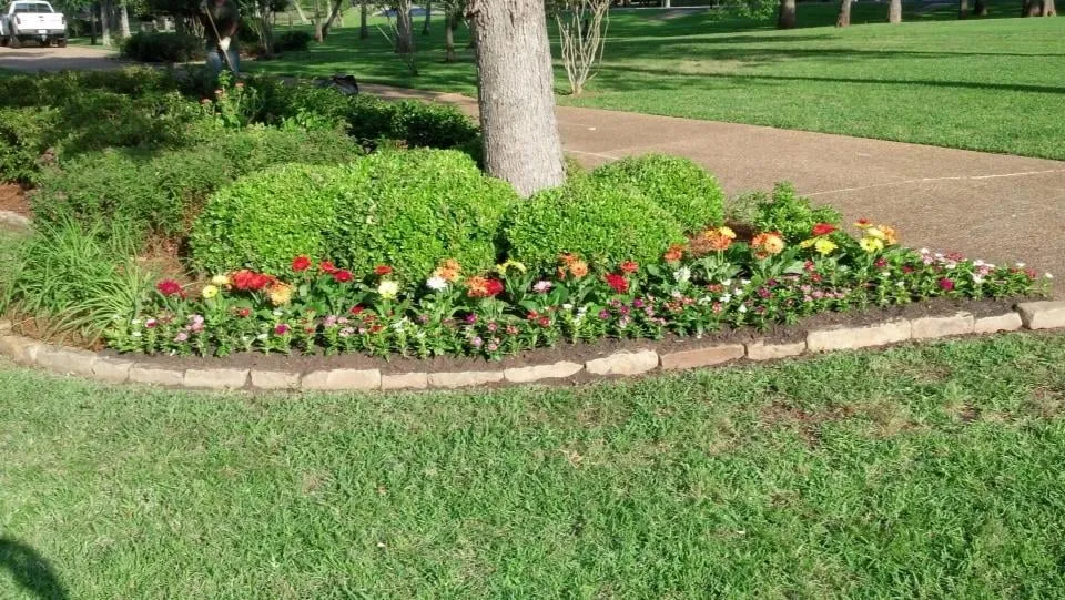 Local yard maintenance experts serving Bossier City, LA - LA Custom Lawn
