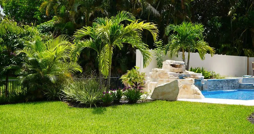 Local lawn care service in Fort Lauderdale, FL - La Diferencia Services