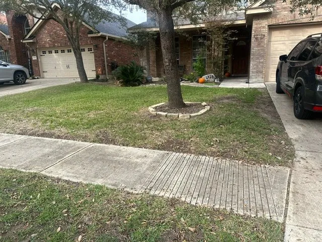 Trusted lawn mowing service in San Antonio, TX by La exelencia