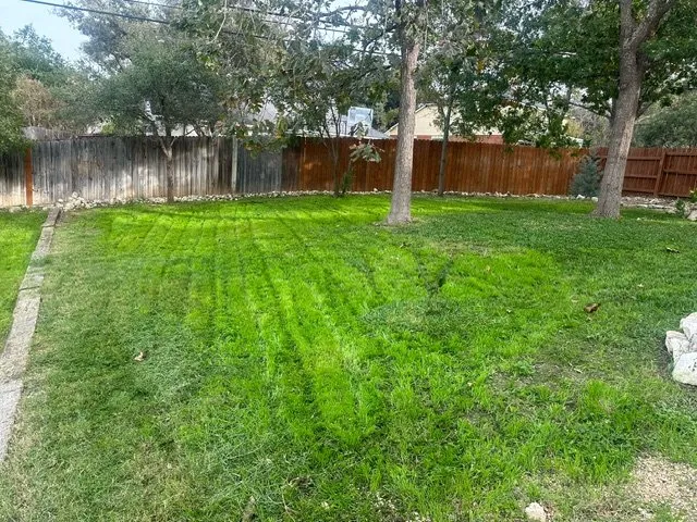 Expert landscaping services with custom design in San Antonio, TX by La exelencia