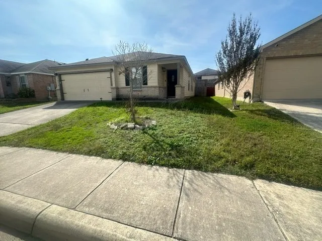 Custom yard cleanup service in San Antonio, TX by La exelencia