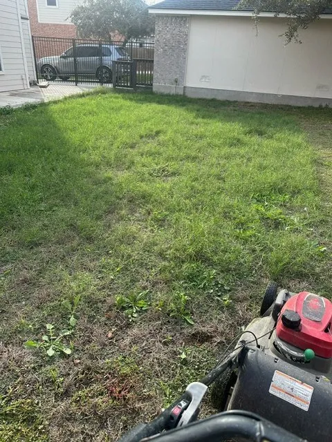 Affordable yard cleanup service with custom design in San Antonio, TX by La exelencia