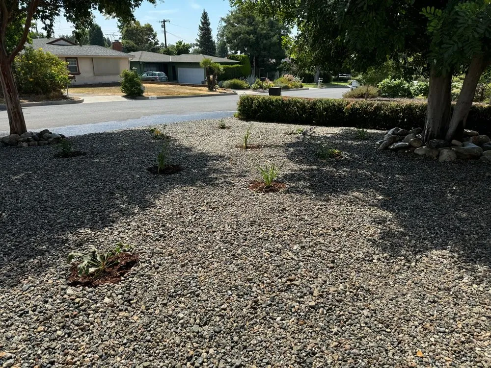 Affordable yard maintenance in Pasadena, CA by La Familia Rivera Landscape Pros