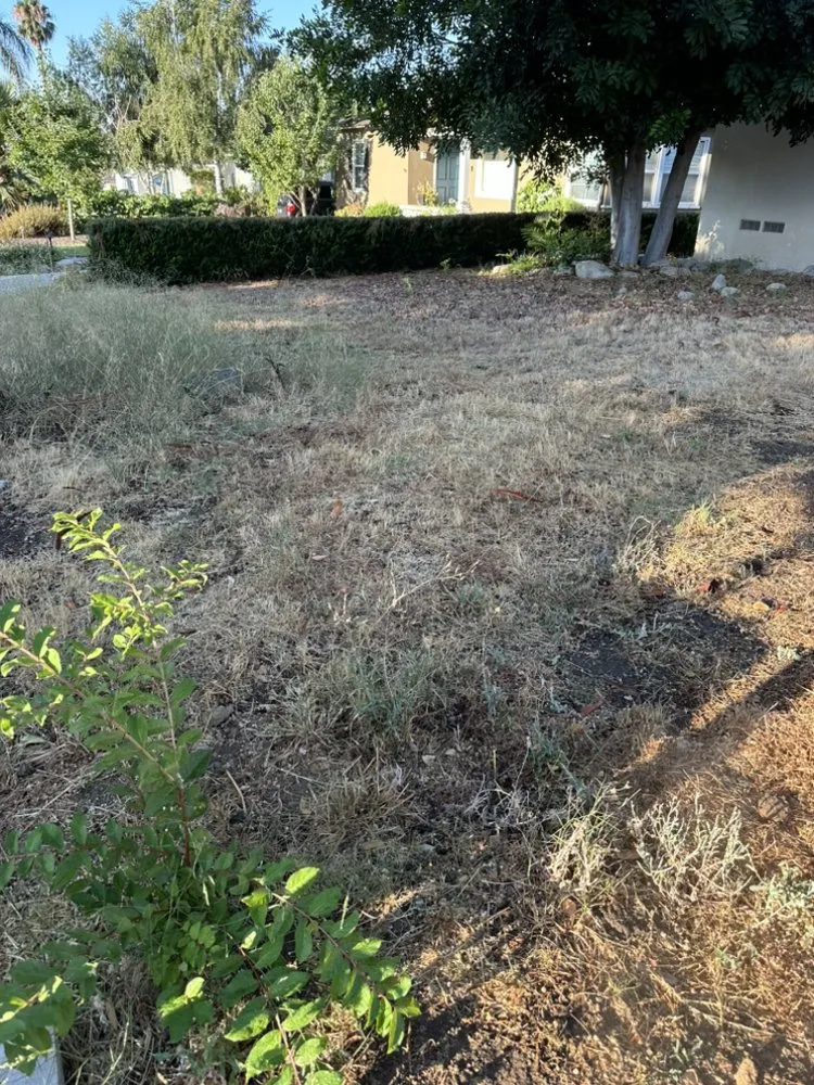 Expert landscaping services for outdoor upgrades in Pasadena, CA by La Familia Rivera Landscape Pros