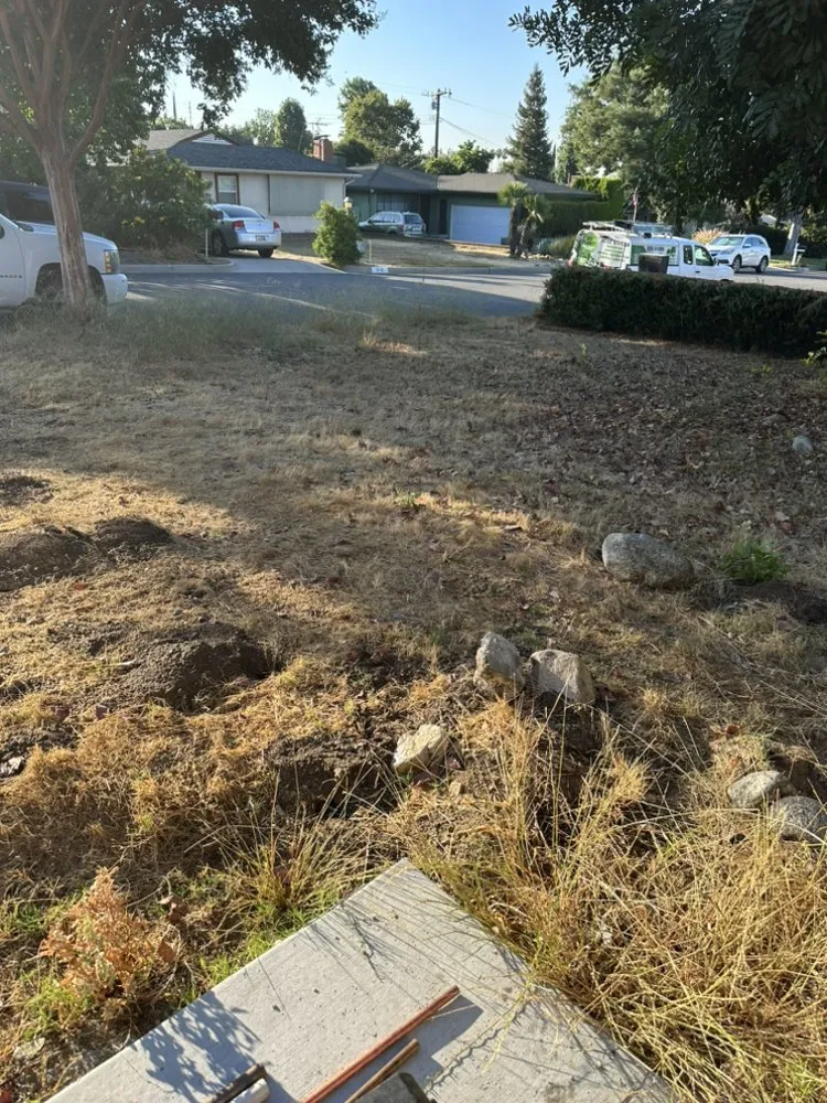 Affordable yard maintenance for homes across Pasadena, CA - La Familia Rivera Landscape Pros