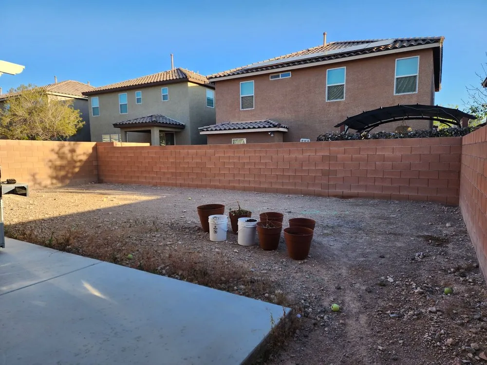 Custom yard cleanup service in Las Vegas, NV - La Firma Landscape