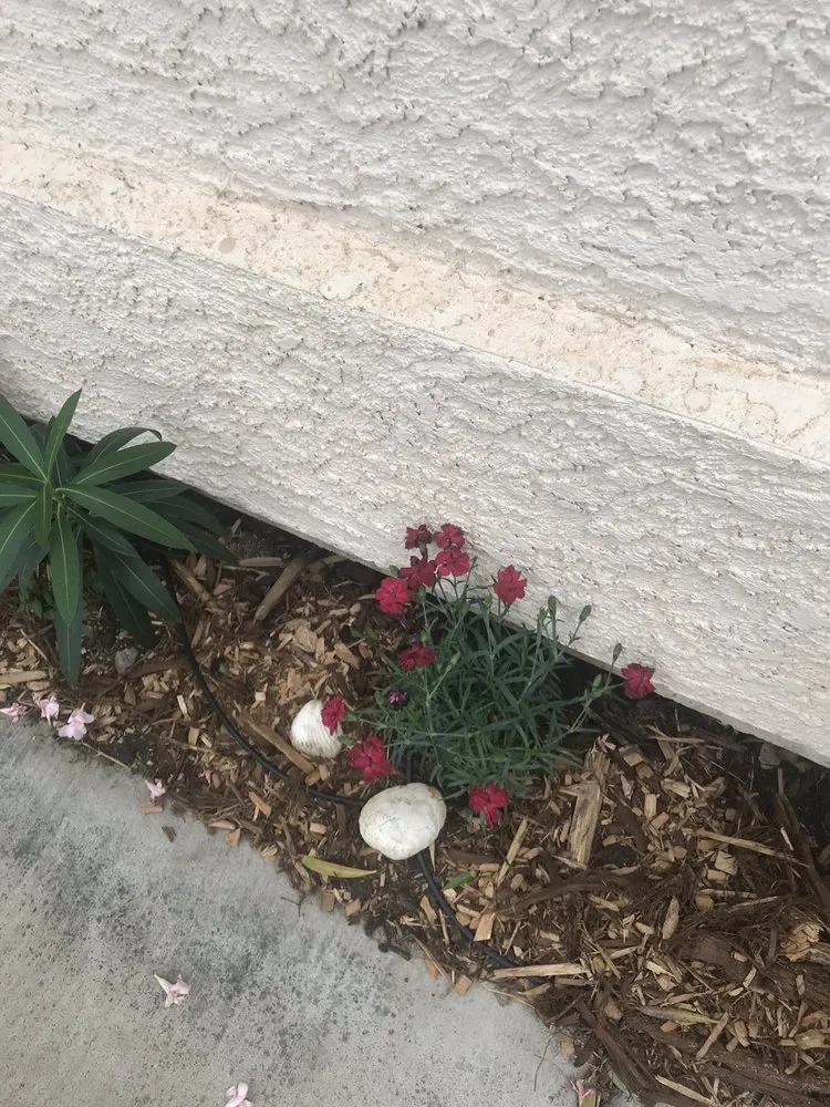 Trusted garden landscaping for residential properties across Las Vegas, NV - La Firma Landscape