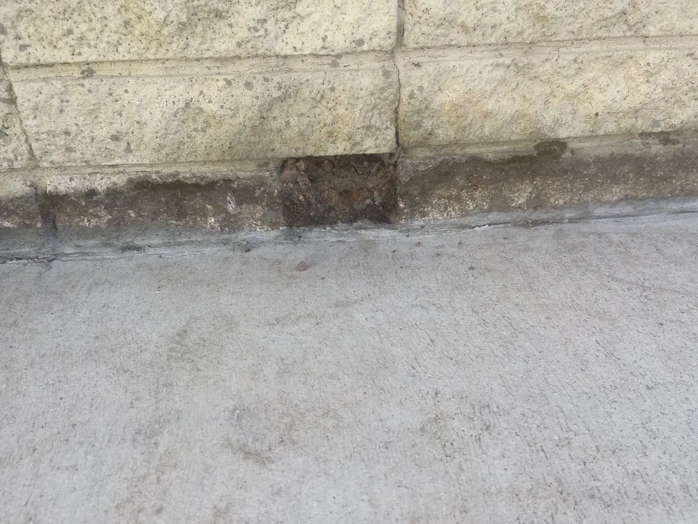 Top-rated lawn mowing service experts serving Las Vegas, NV - La Firma Landscape