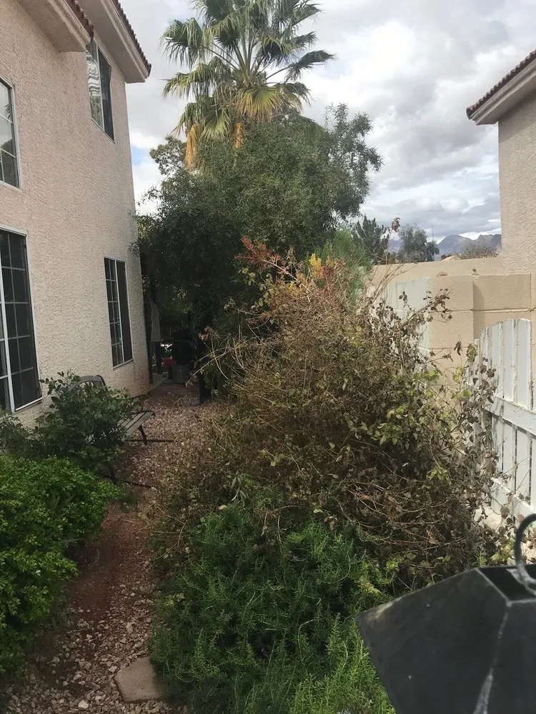 Trusted lawn mowing service in Las Vegas, NV by La Firma Landscape